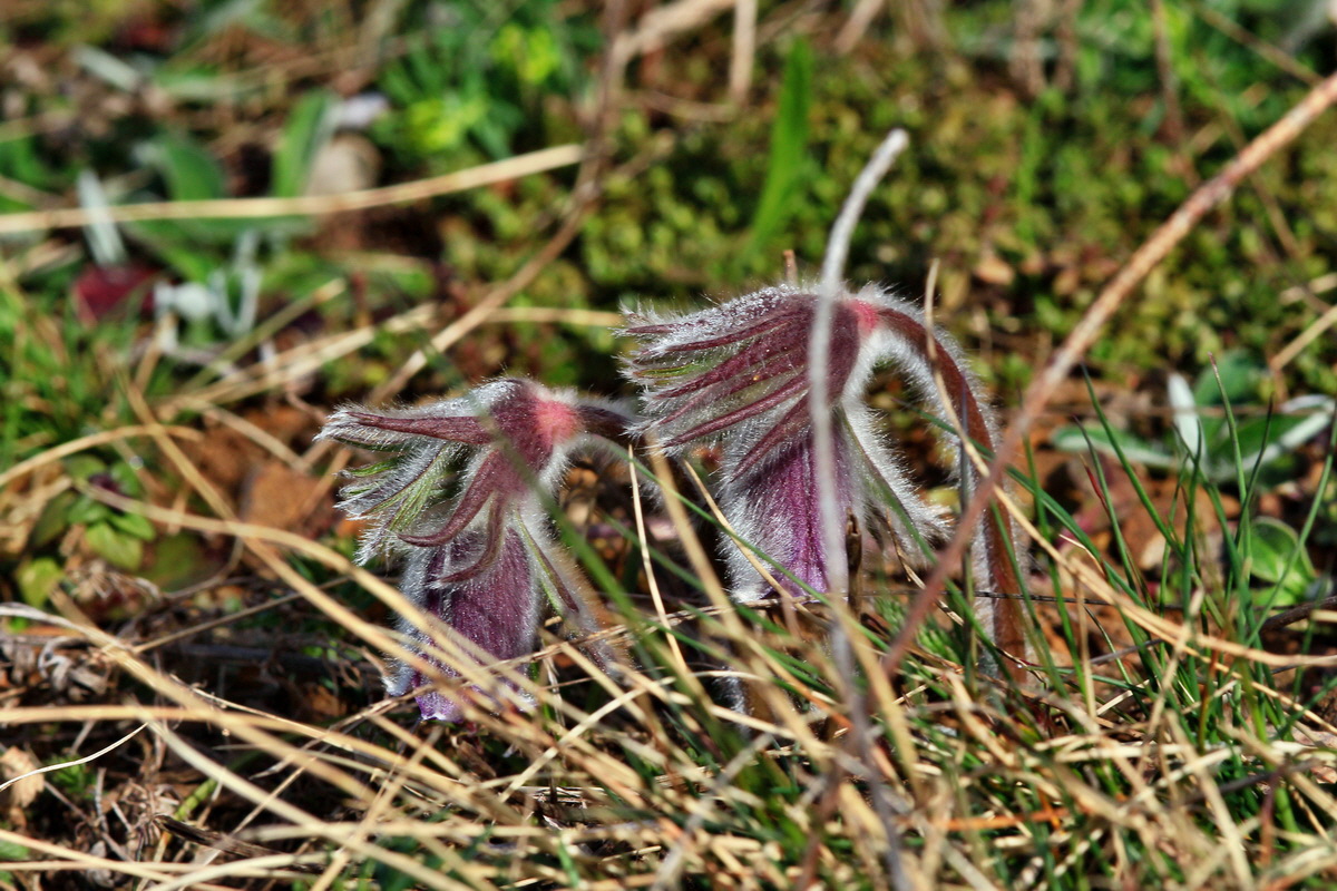 2015_04_07_00016943p_Bildgr��e �ndern