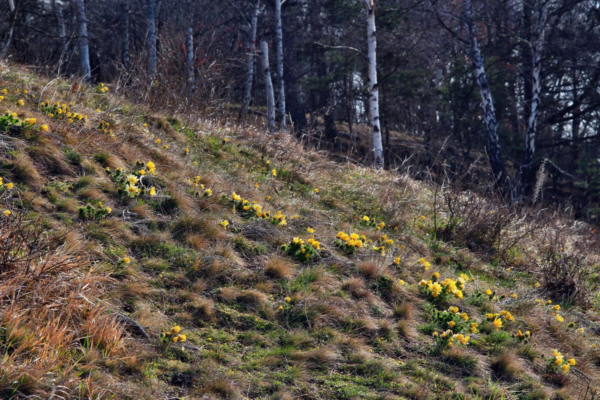 2015_04_07_00016975p_Bildgr��e �ndern