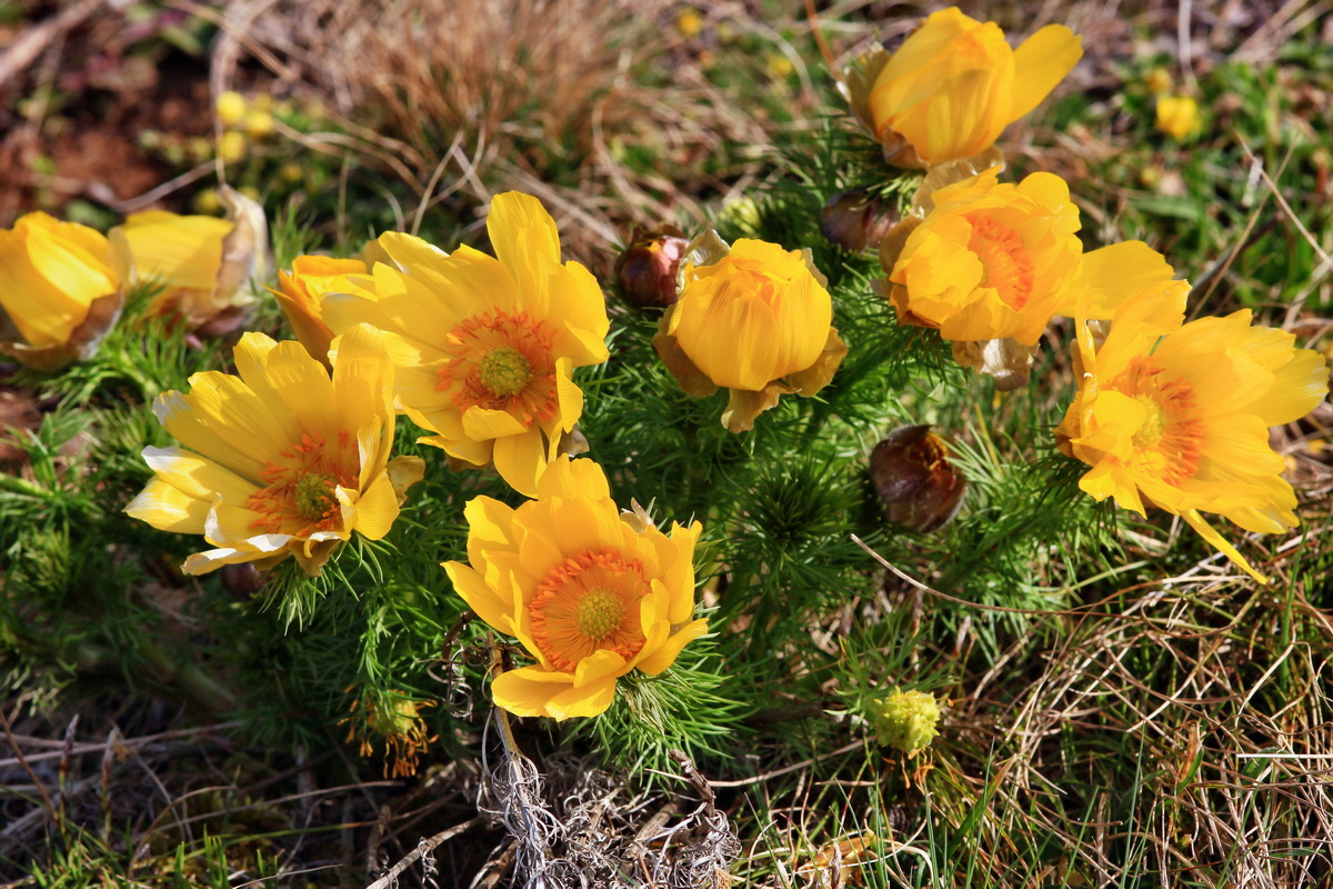 2015_04_07_00017009p_Bildgr��e �ndern