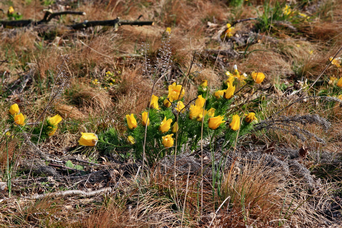 2015_04_07_00017019p_Bildgr��e �ndern