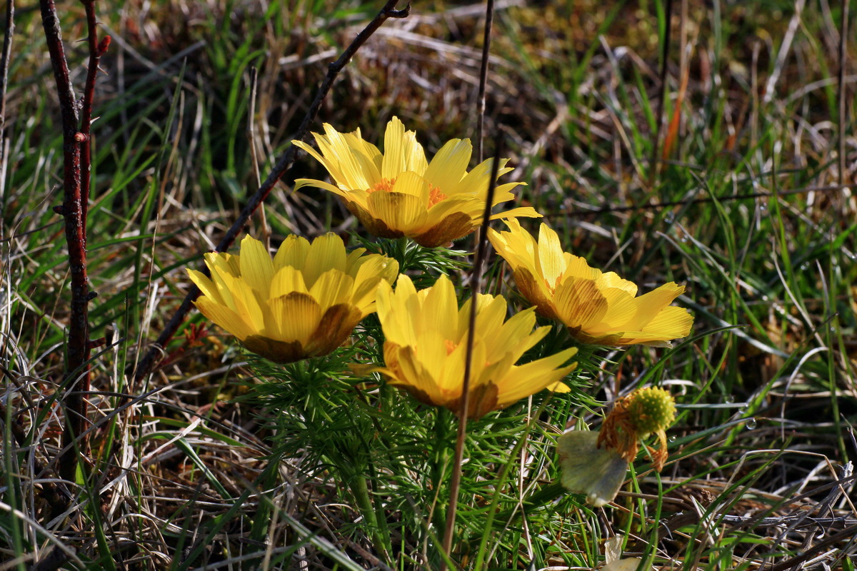 2015_04_10_00017028p_Bildgr��e �ndern