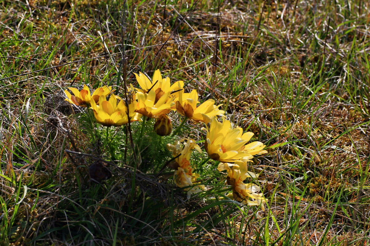 2015_04_10_00017031p_Bildgr��e �ndern