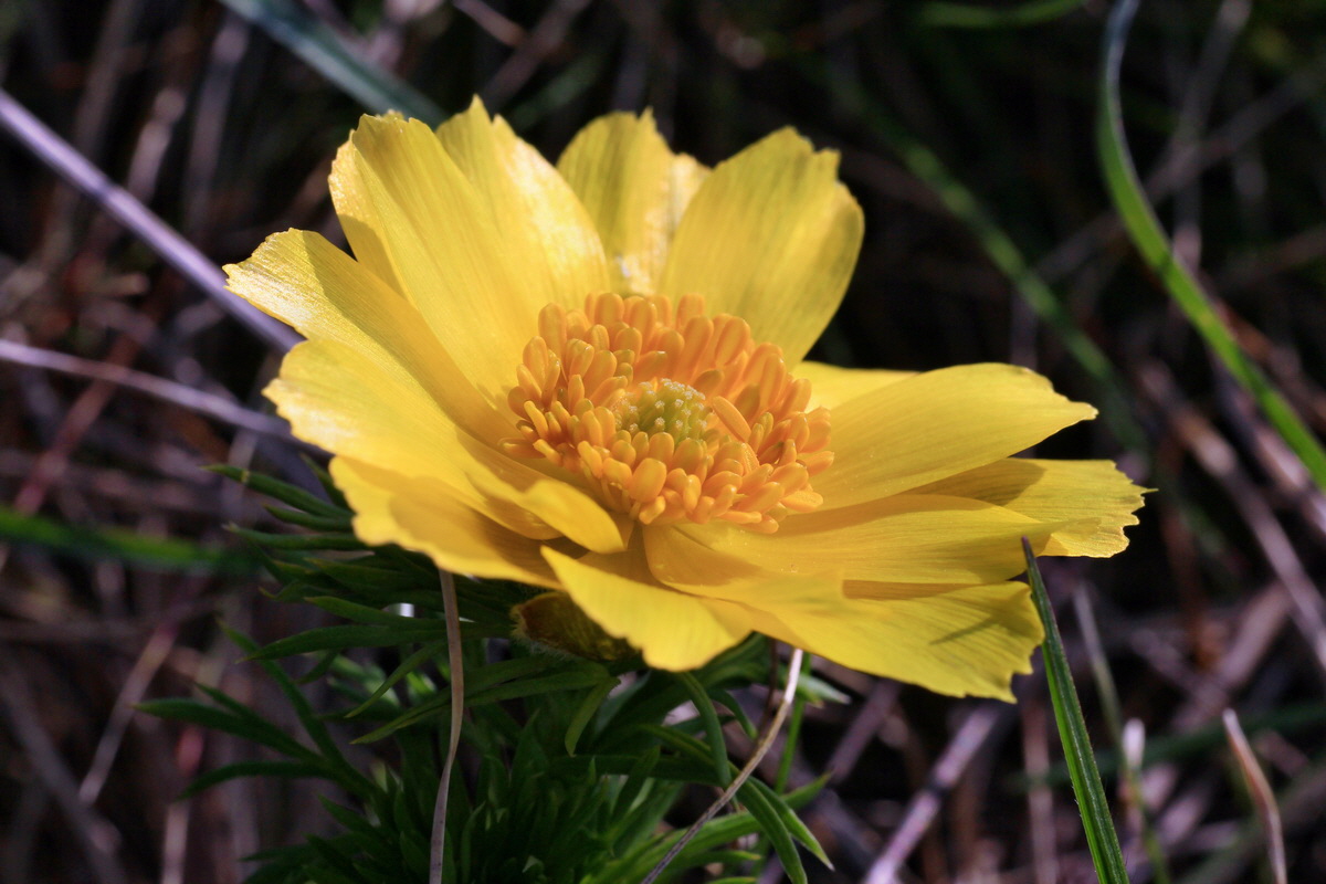 2015_04_10_00017036p_Bildgr��e �ndern