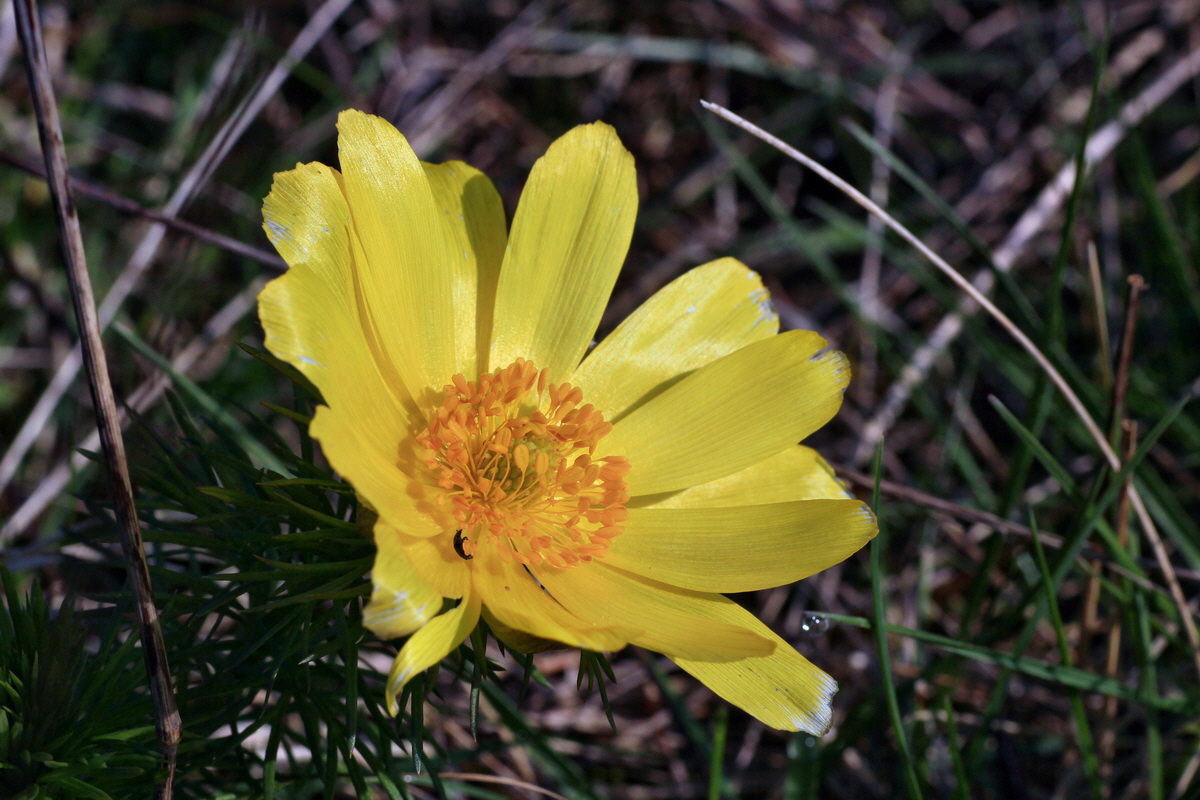 2015_04_10_00017042p_Bildgr��e �ndern