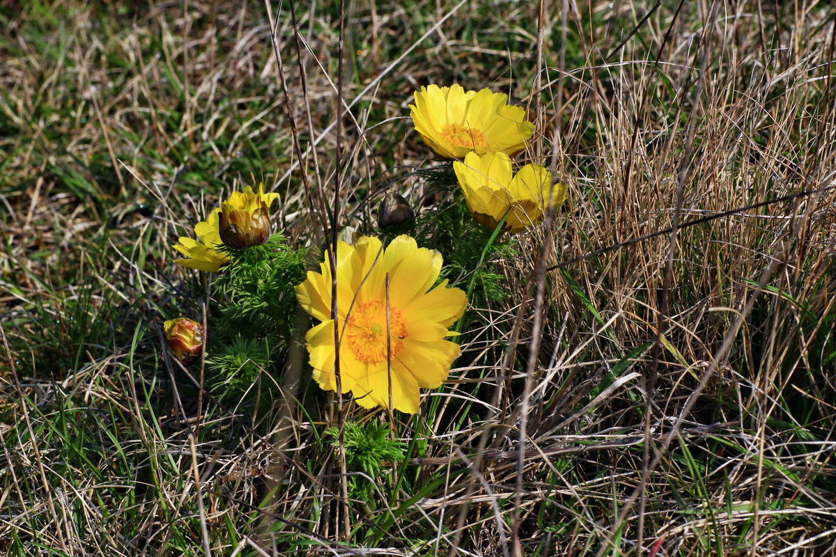 2015_04_10_00017046p_Bildgr��e �ndern