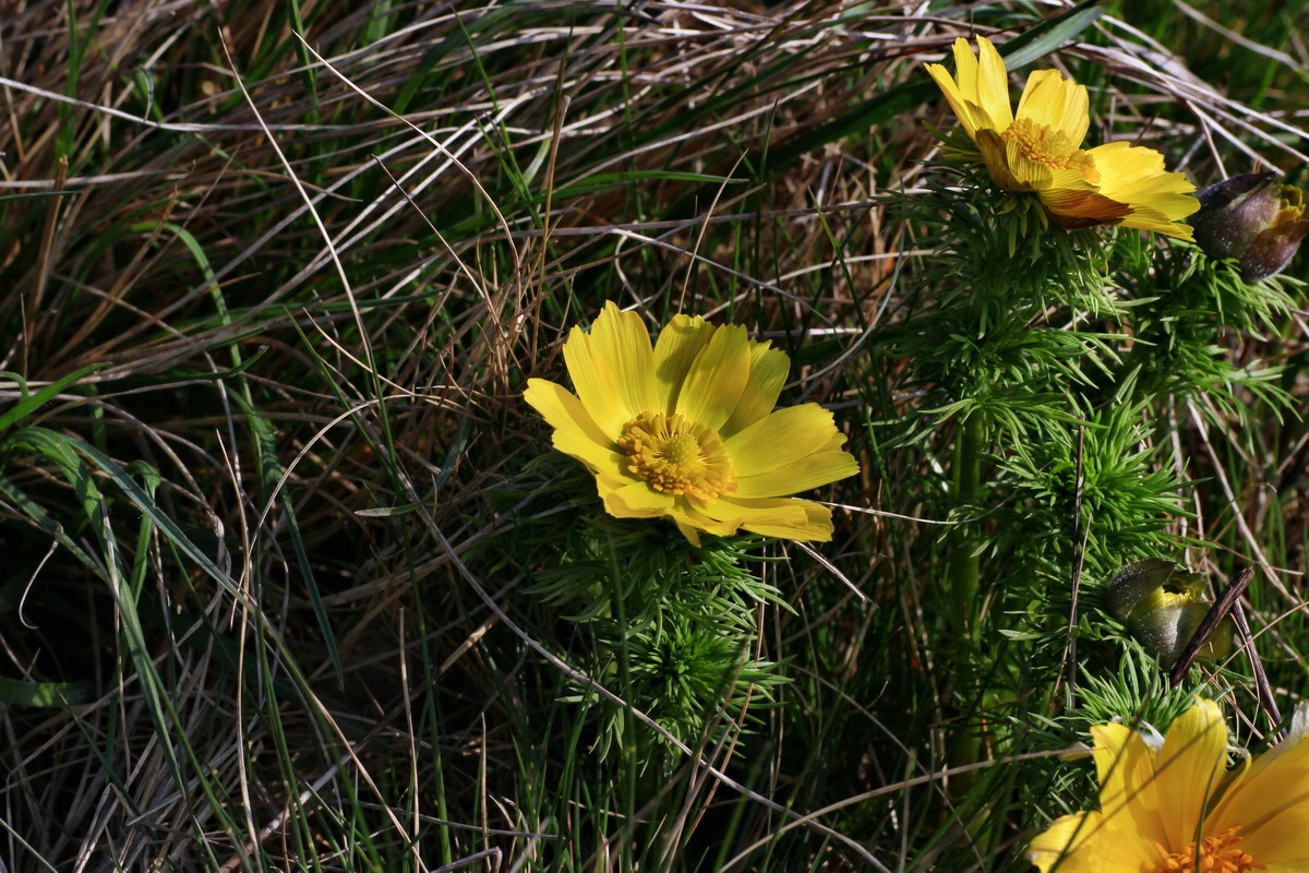 2015_04_10_00017047p_Bildgr��e �ndern