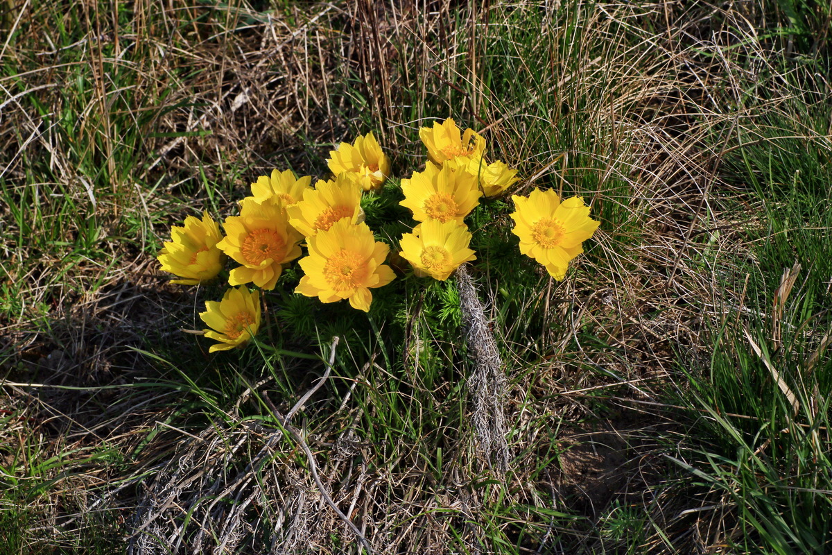 2015_04_10_00017071p_Bildgr��e �ndern