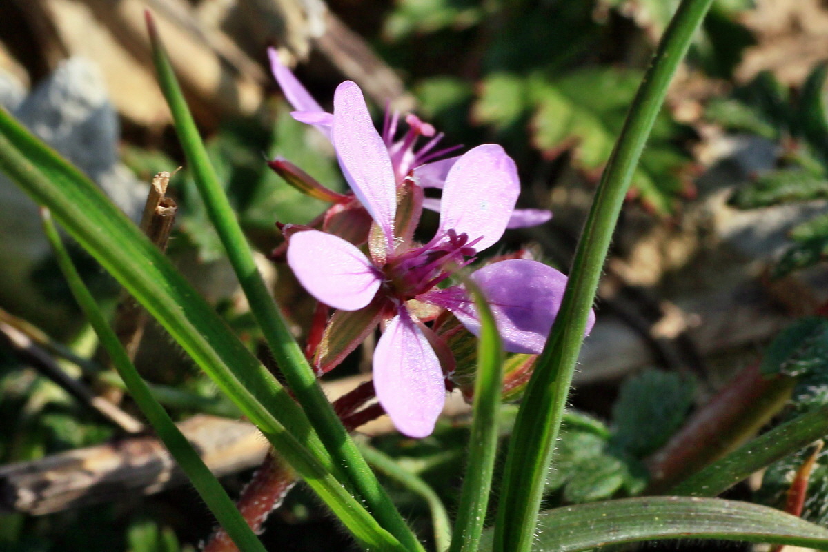 2015_04_10_00017075ap_Bildgr��e �ndern