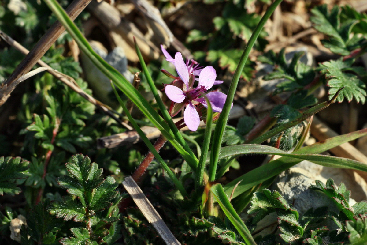 2015_04_10_00017075p_Bildgr��e �ndern