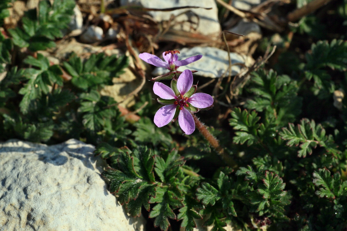 2015_04_10_00017077p_Bildgr��e �ndern