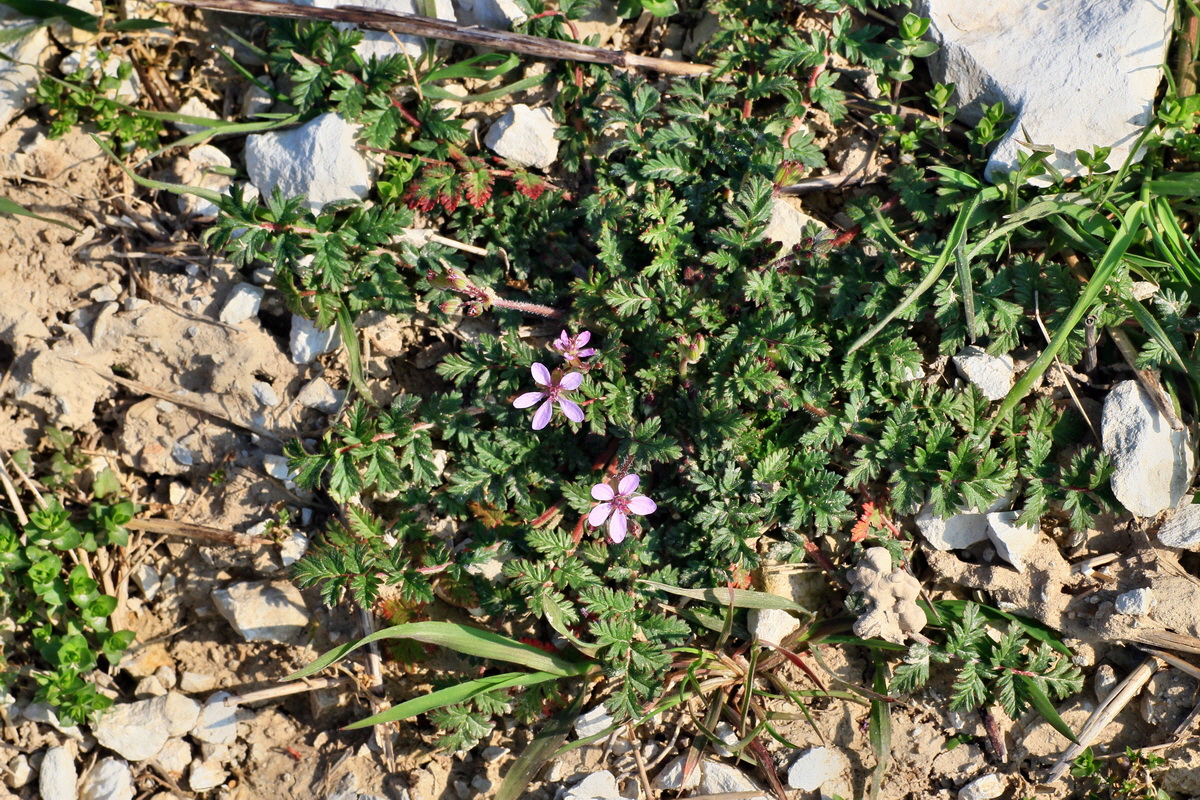 2015_04_10_00017082p_Bildgr��e �ndern