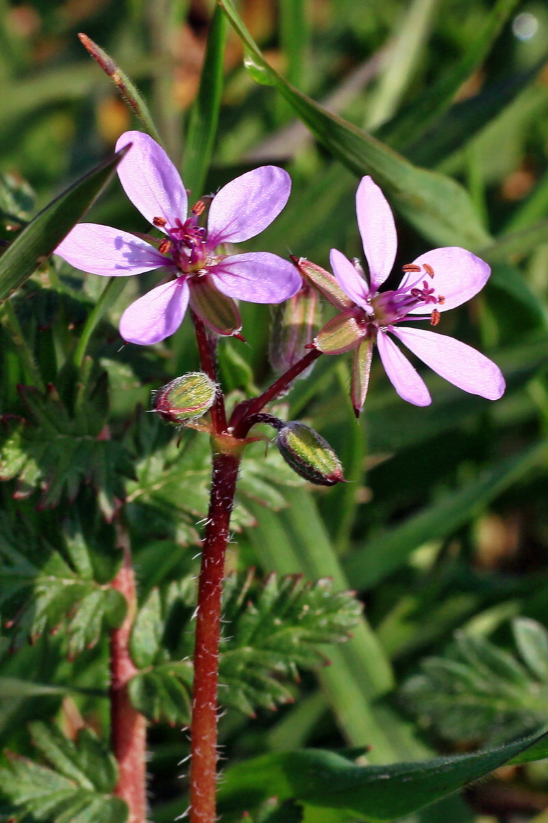 2015_04_10_00017084ap_Bildgr��e �ndern