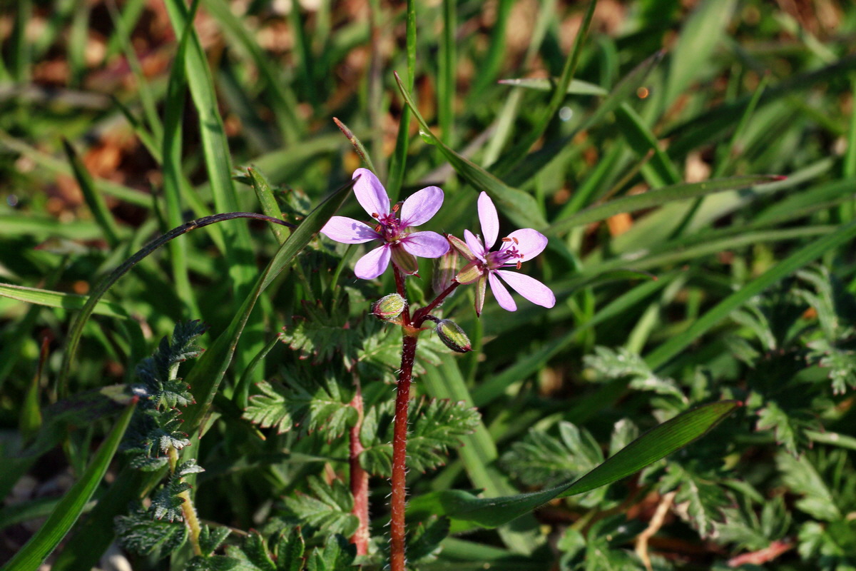 2015_04_10_00017084p_Bildgr��e �ndern