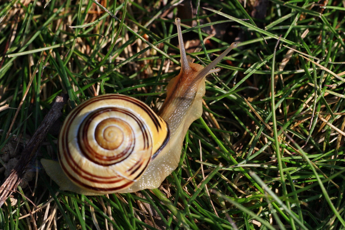 2015_04_10_00017094p_Bildgr��e �ndern