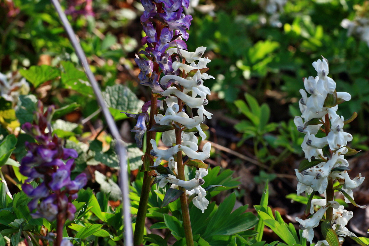 2015_04_10_00017100p_Bildgr��e �ndern