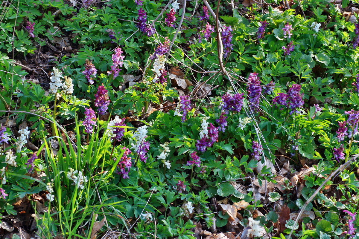 2015_04_10_00017107p_Bildgr��e �ndern