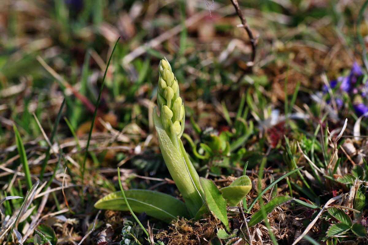 2015_04_14_00017120p_Bildgr��e �ndern