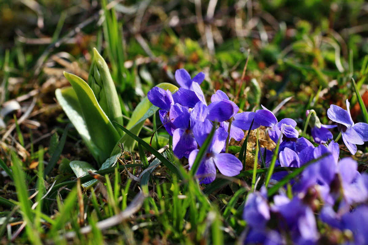 2015_04_14_00017124p_Bildgr��e �ndern