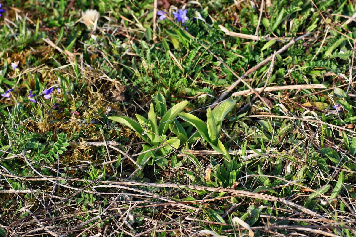 2015_04_14_00017129p_Bildgr��e �ndern