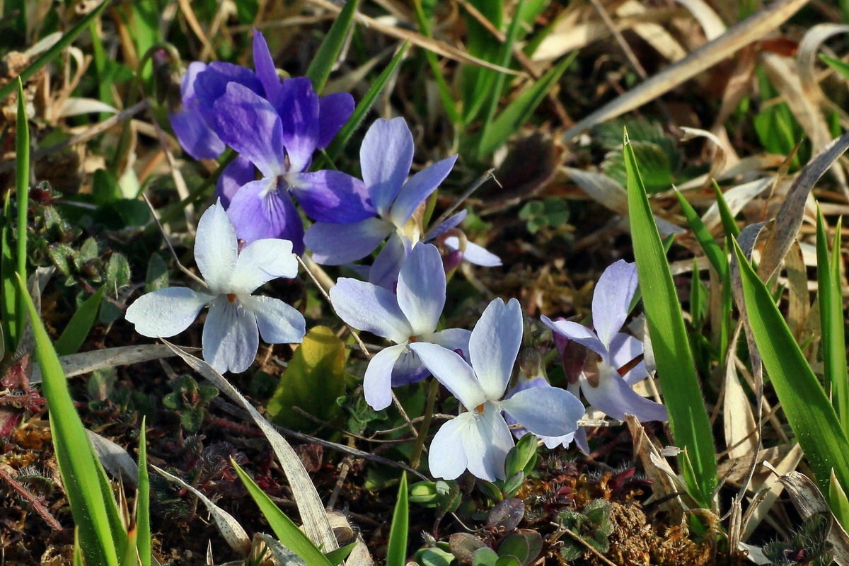 2015_04_14_00017130ap_Bildgr��e �ndern