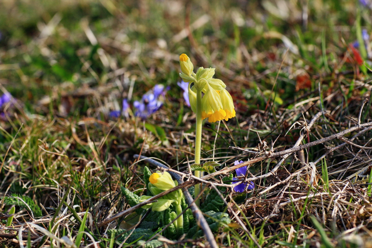 2015_04_14_00017133p_Bildgr��e �ndern