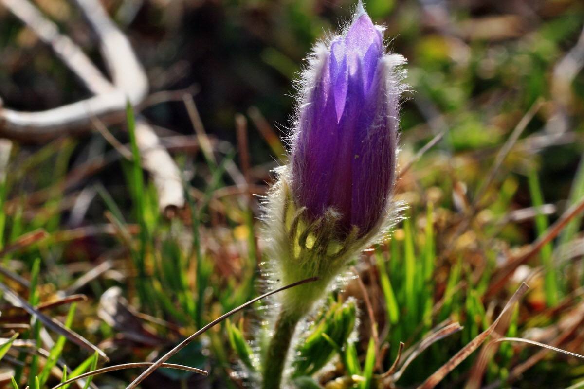 2015_04_14_00017137p_Bildgr��e �ndern