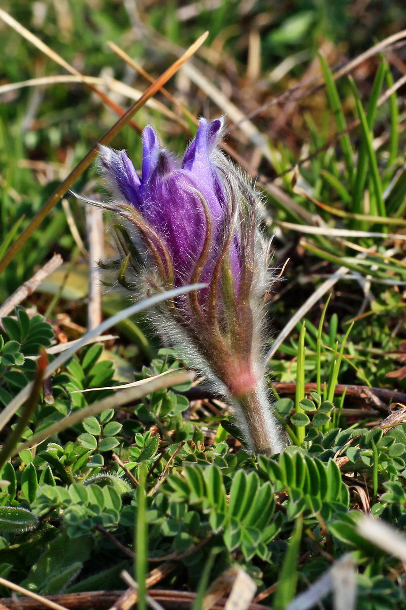 2015_04_14_00017140ap_Bildgr��e �ndern