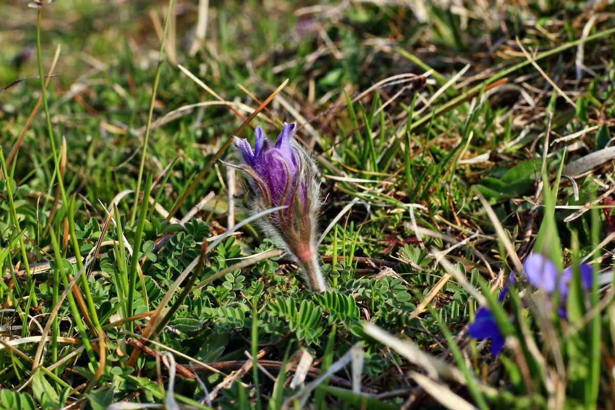 2015_04_14_00017140p_Bildgr��e �ndern