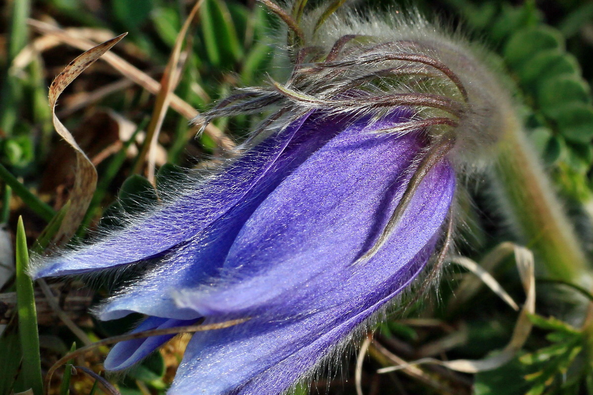 2015_04_14_00017144ap_Bildgr��e �ndern