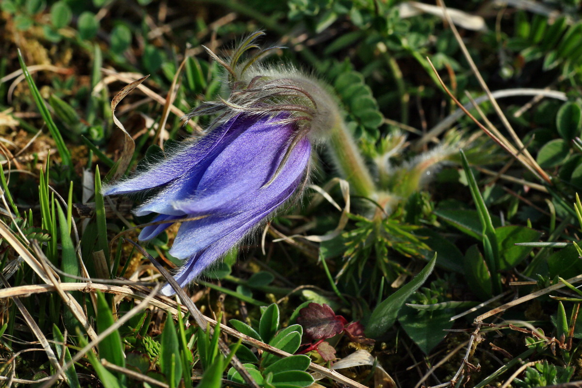 2015_04_14_00017144p_Bildgr��e �ndern