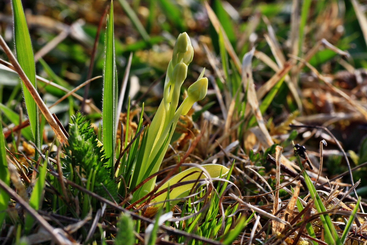 2015_04_14_00017148p_Bildgr��e �ndern