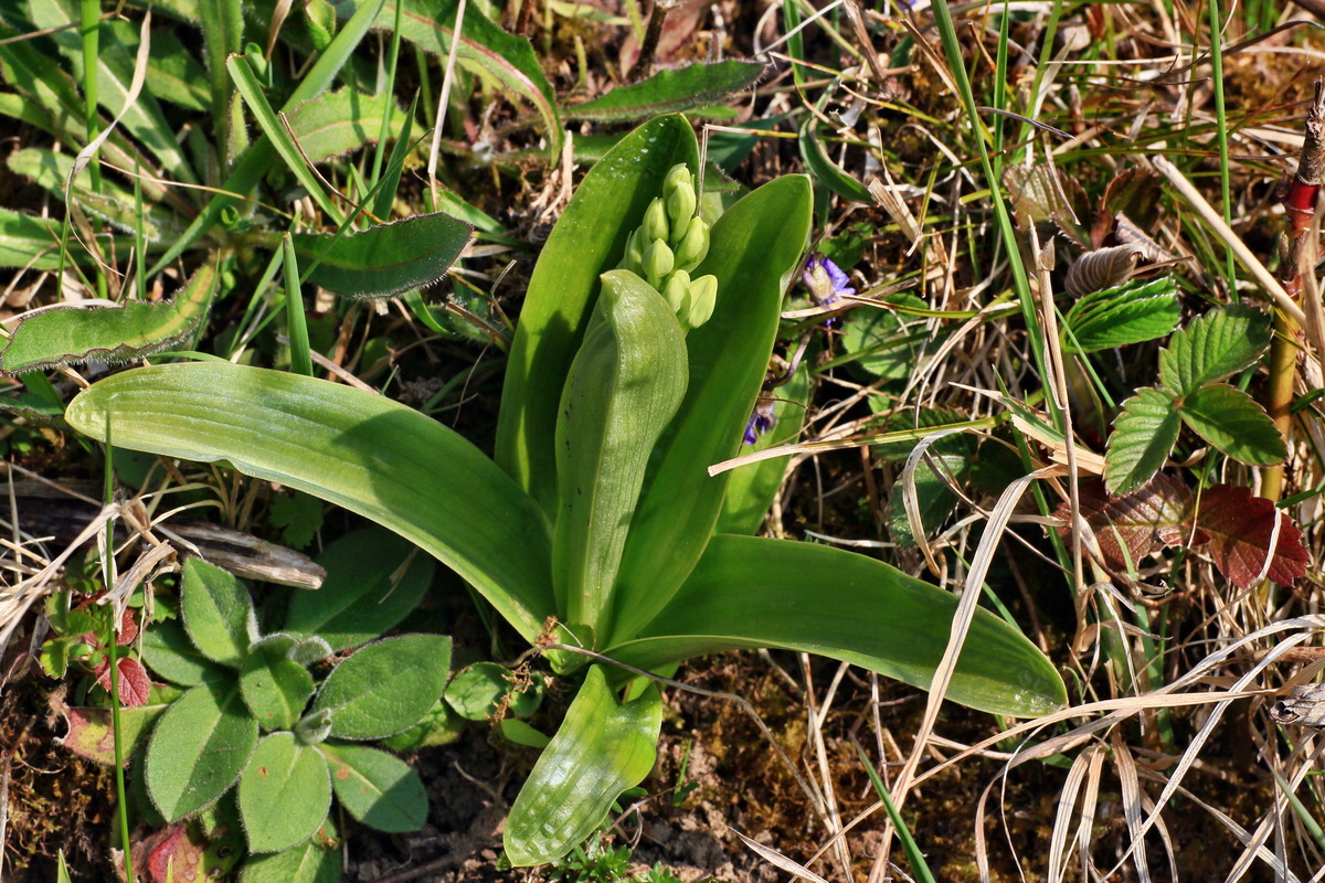 2015_04_14_00017155p_Bildgr��e �ndern