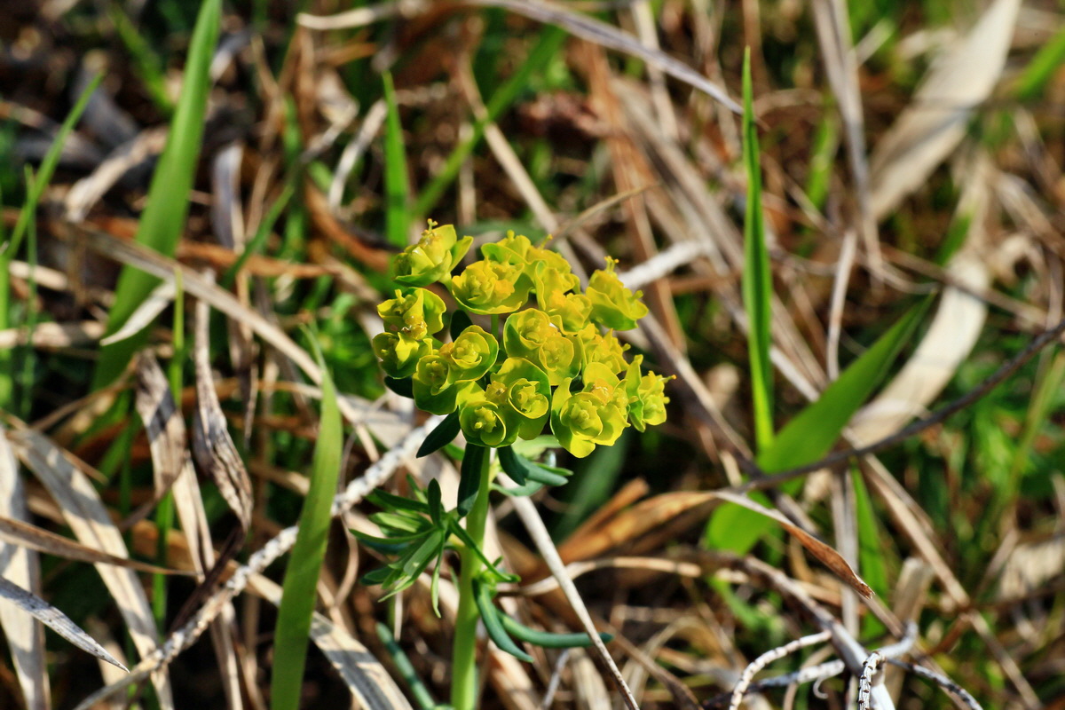 2015_04_14_00017164p_Bildgr��e �ndern