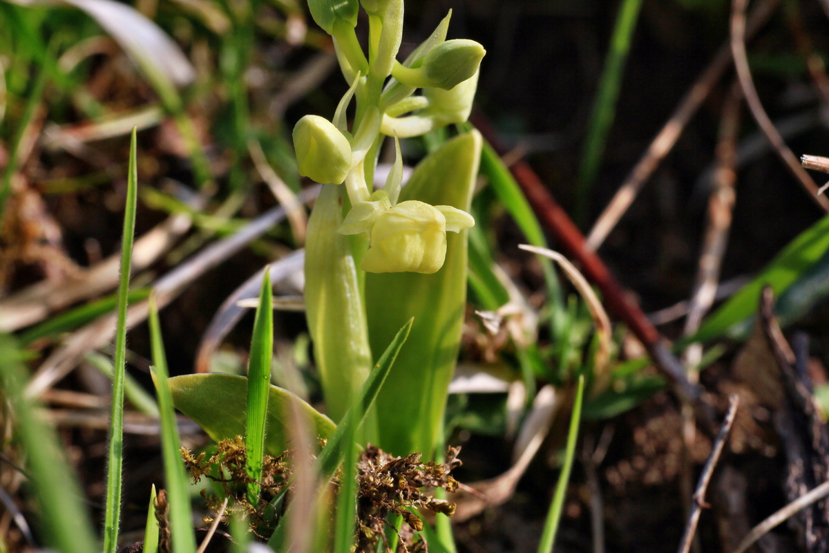 2015_04_14_00017166p_Bildgr��e �ndern