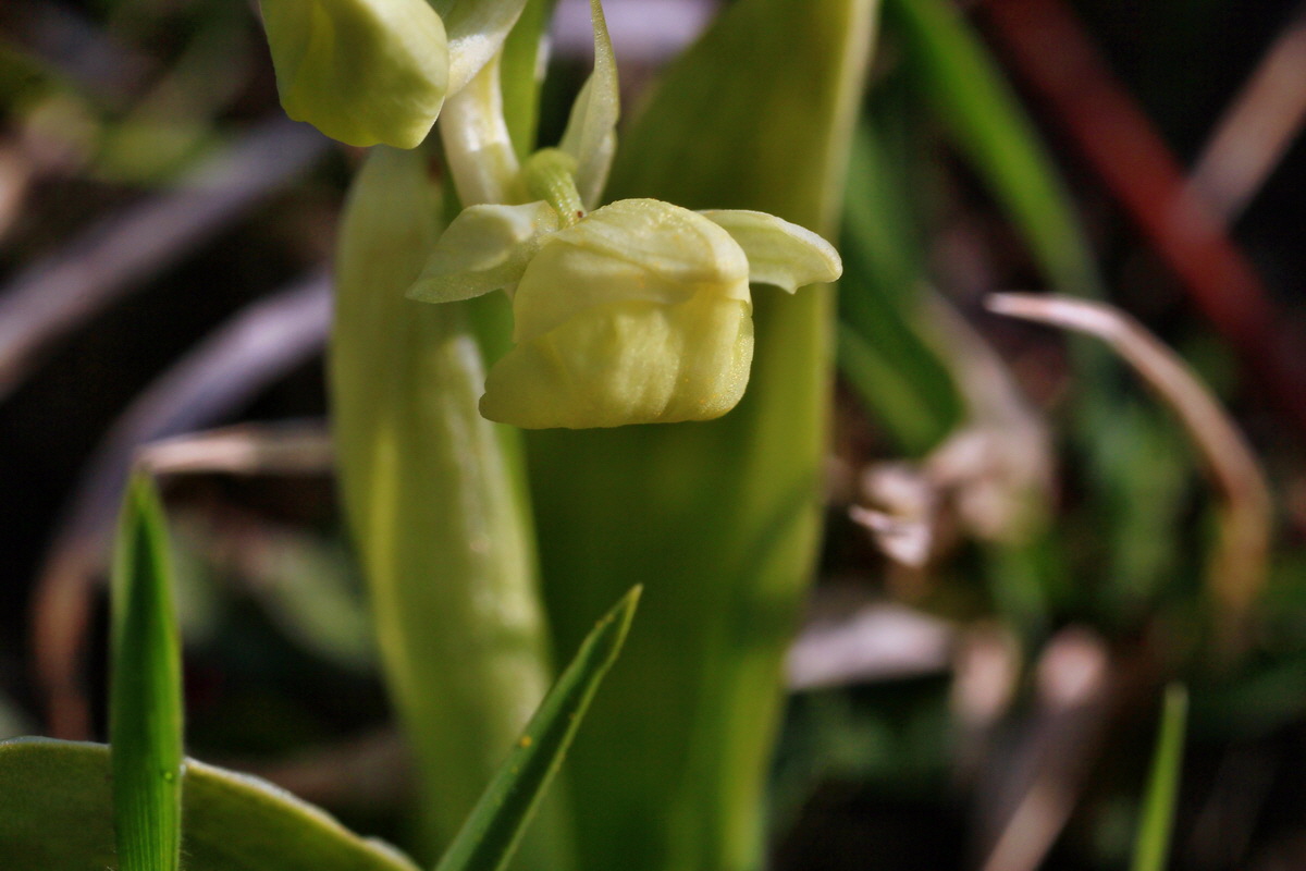 2015_04_14_00017168p_Bildgr��e �ndern