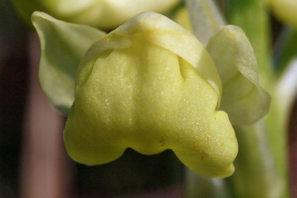 2015_04_14_00017173ap_Bildgr��e �ndern