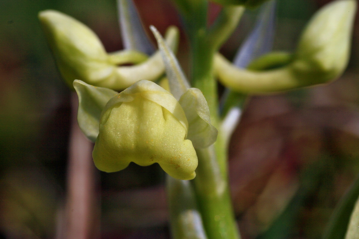 2015_04_14_00017173p_Bildgr��e �ndern