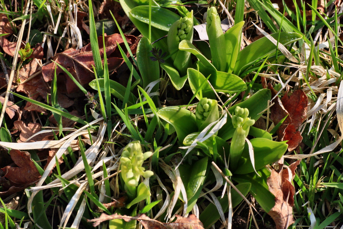 2015_04_14_00017176p_Bildgr��e �ndern