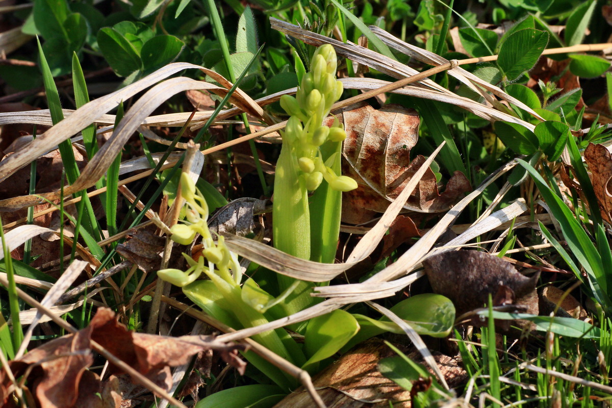 2015_04_14_00017178p_Bildgr��e �ndern