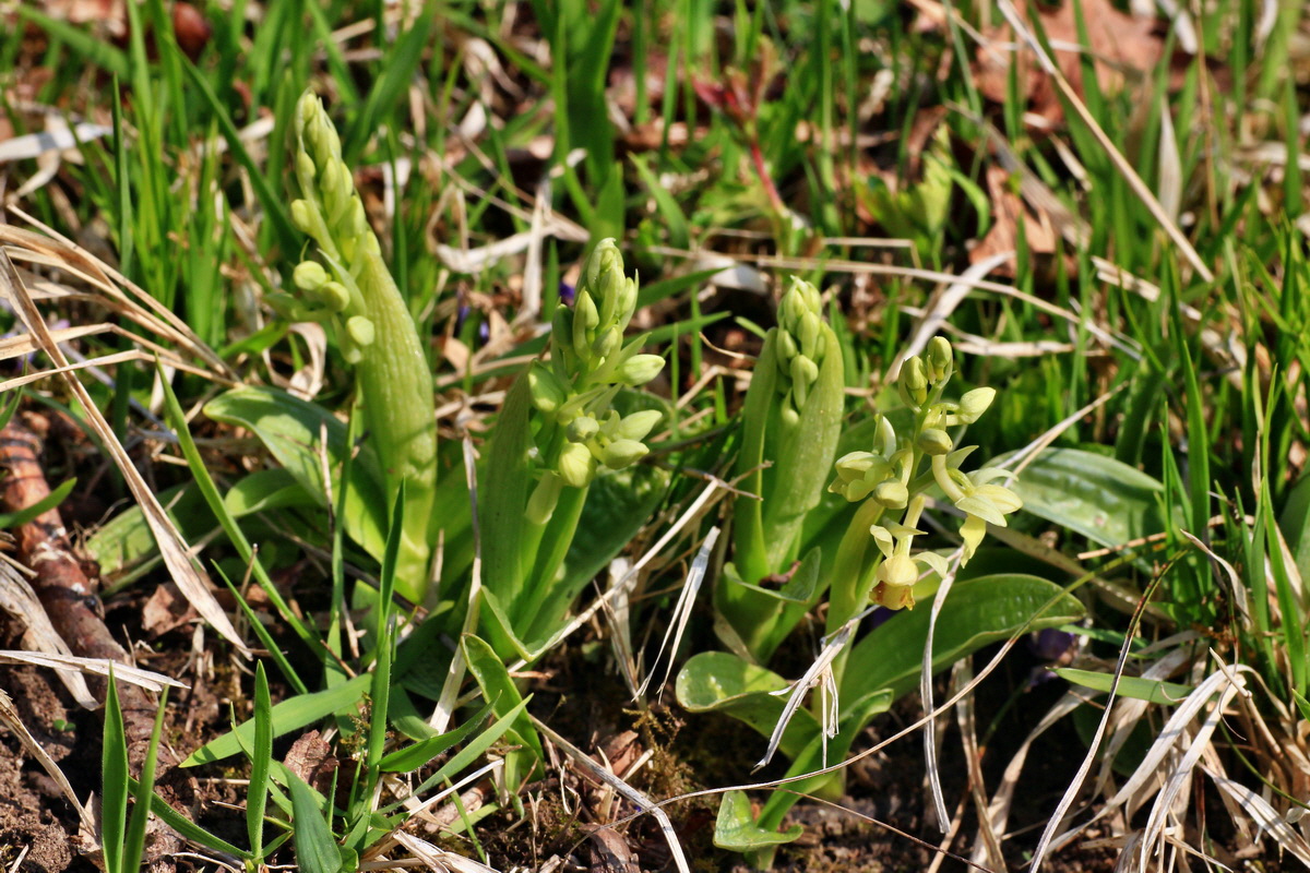 2015_04_14_00017180p_Bildgr��e �ndern