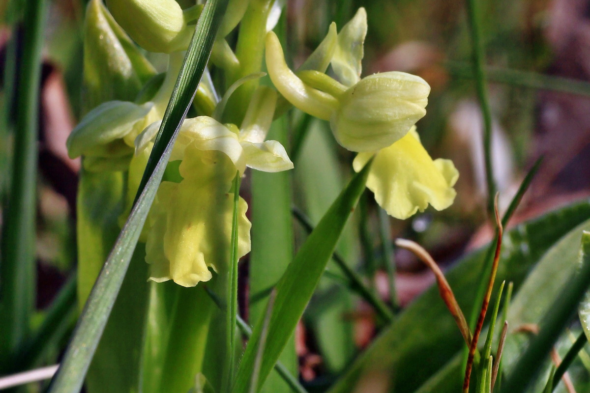 2015_04_14_00017184ap_Bildgr��e �ndern