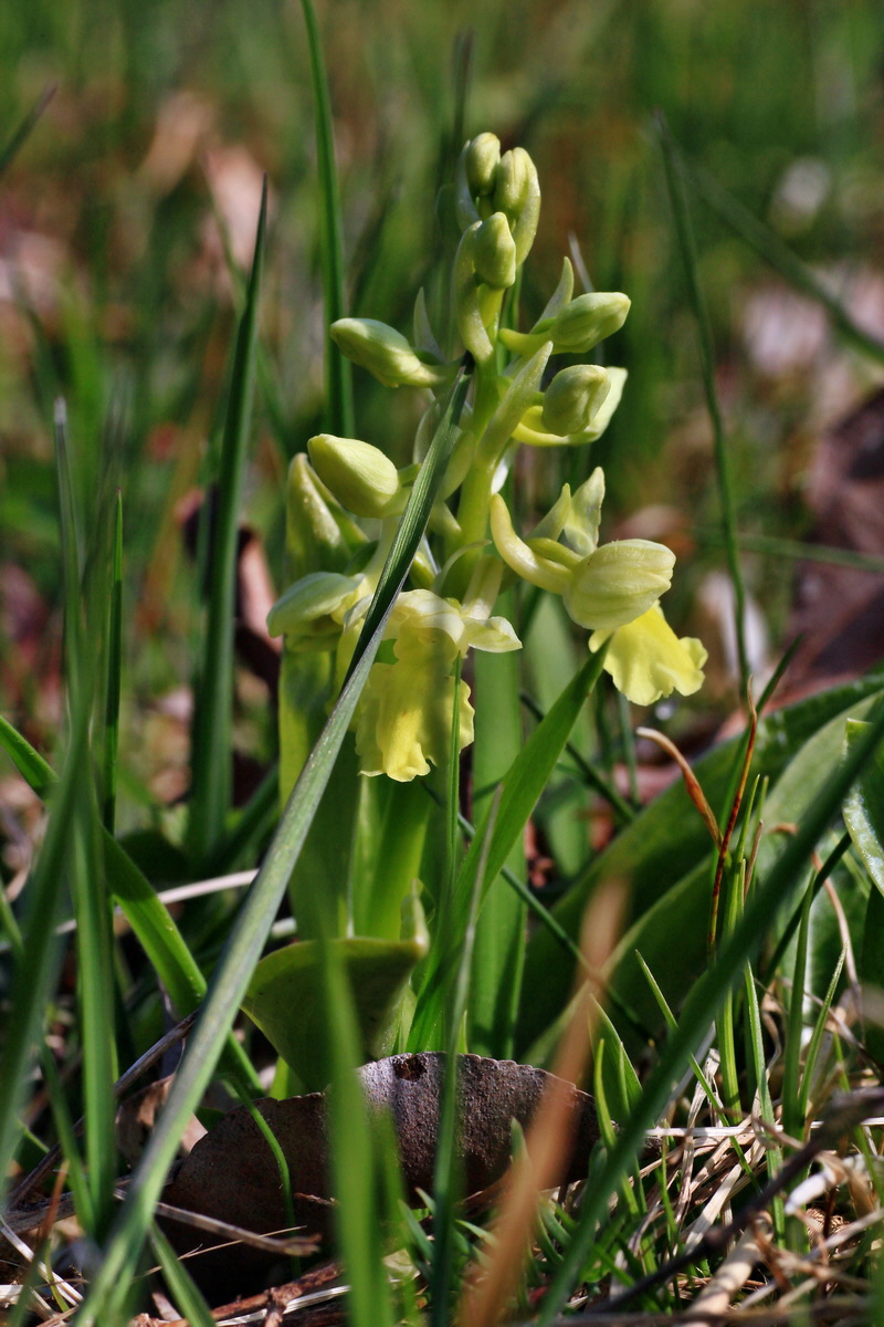 2015_04_14_00017184p_Bildgr��e �ndern