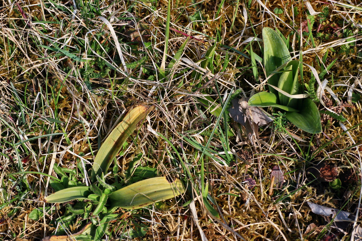 2015_04_14_00017191p_Bildgr��e �ndern