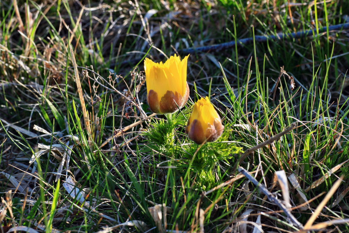 2015_04_15_00017203p_Bildgr��e �ndern