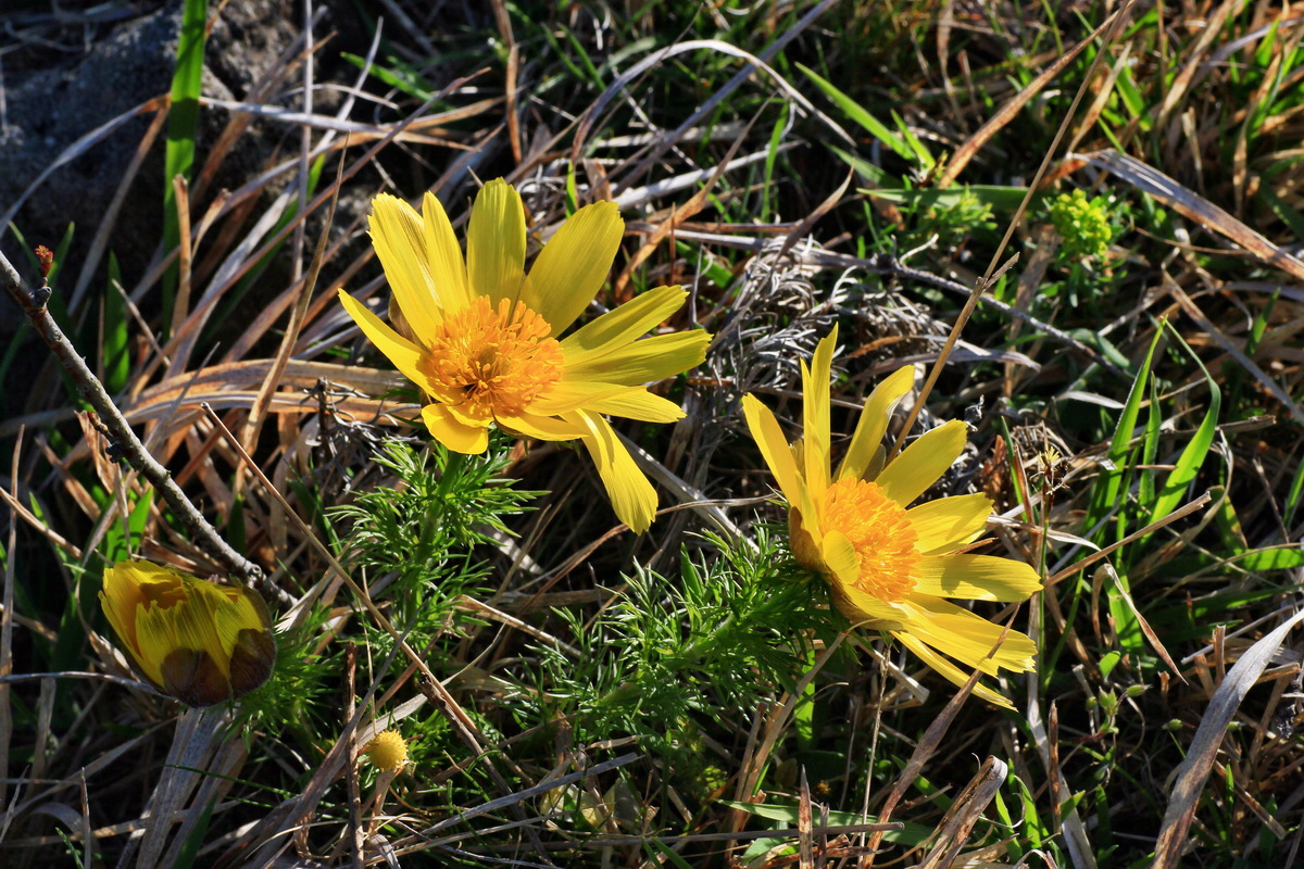 2015_04_15_00017212p_Bildgr��e �ndern