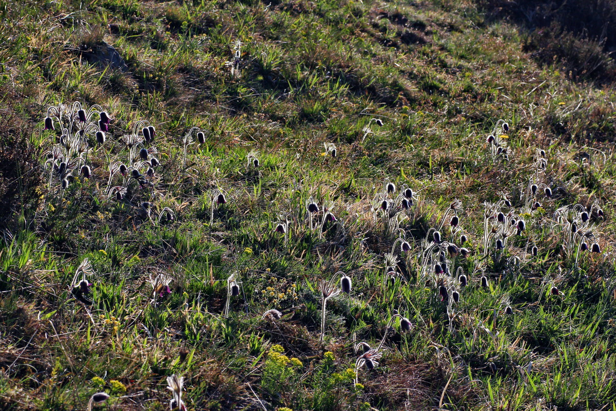 2015_04_15_00017219p_Bildgr��e �ndern