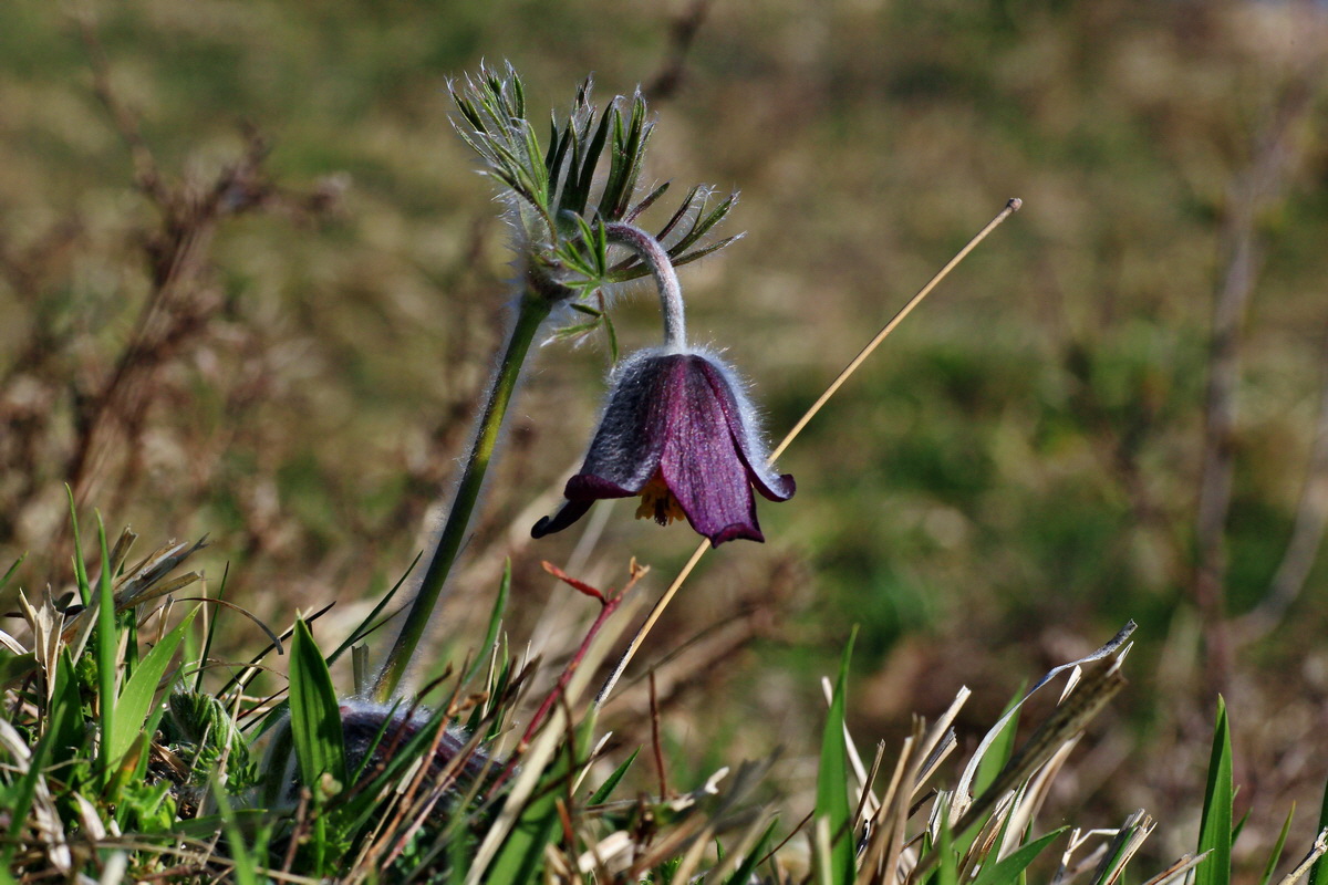 2015_04_15_00017250p_Bildgr��e �ndern