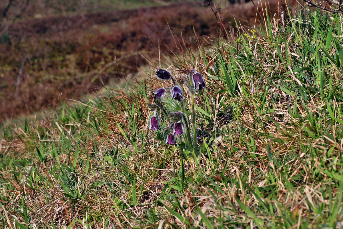 2015_04_15_00017258p_Bildgr��e �ndern