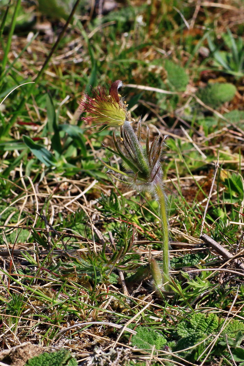 2015_04_15_00017266ap_Bildgr��e �ndern