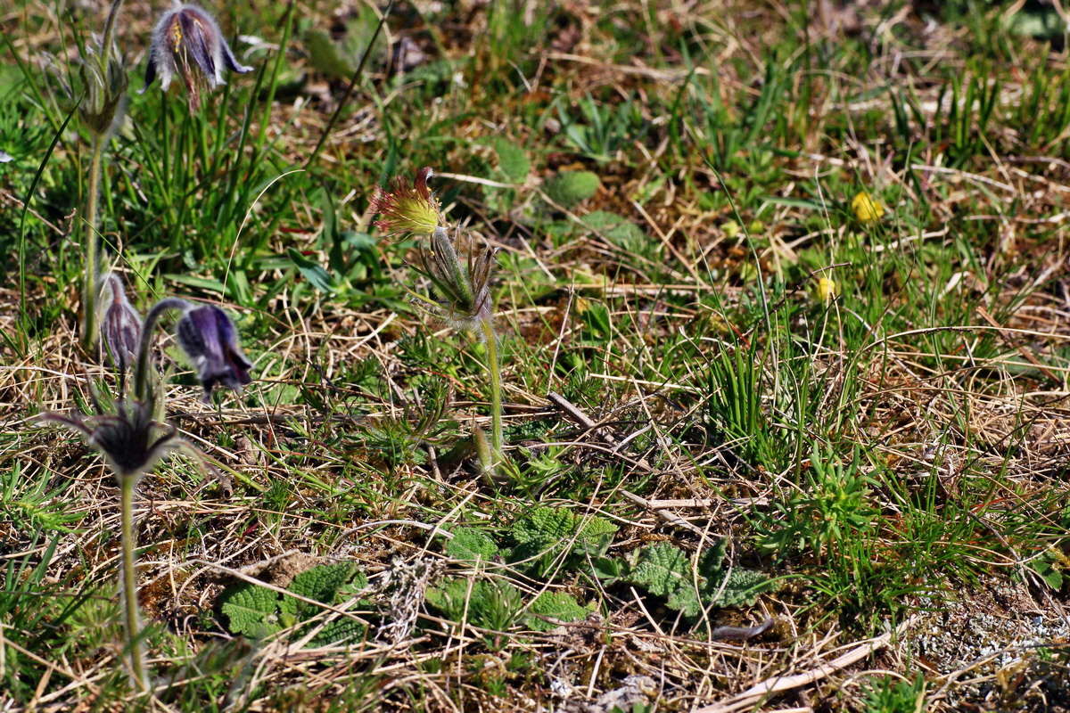 2015_04_15_00017266p_Bildgr��e �ndern